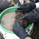 Illustration for article titled Why California's Drought Is Good News for Gold Prospectors